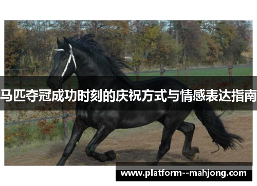 马匹夺冠成功时刻的庆祝方式与情感表达指南