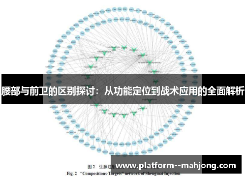 腰部与前卫的区别探讨:从功能定位到战术应用的全面解析 腰部与前卫的区别探讨:从功能定位到战术应用的全面解析